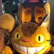 トトロの画像