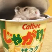 うずかり