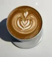 ネコ