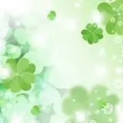 チョコの画像