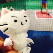 mikeの画像