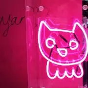 いちごの画像