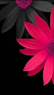 ✤sweet mama✤の画像