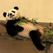 肉うどんの画像