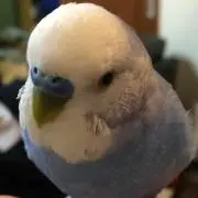 こばたくの画像