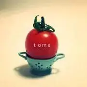 Tomaの画像
