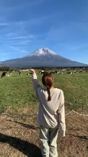 asuの画像