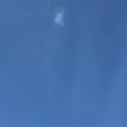 cocoの画像