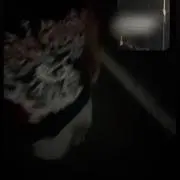 ず