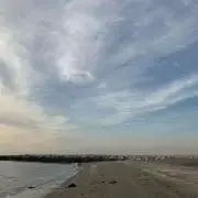 マロンの画像
