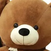 ぶらうんの画像