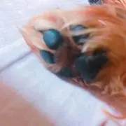 もっち