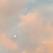 sの画像