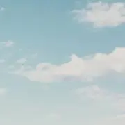 くもの画像