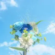 おまとめ値引可能·͜·の画像