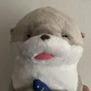 即購入 OK⭐︎sugar⭐︎の画像