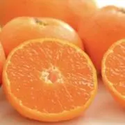 みかんの画像
