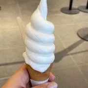 kkkk