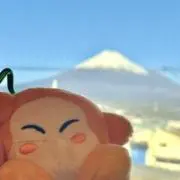 みかんの画像