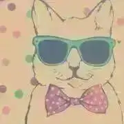 Kamomiの画像