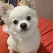 くま太郎(o^^o)の画像