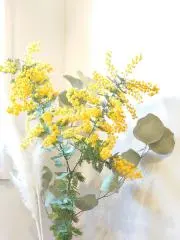 kotyの画像