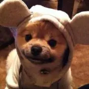 ケイ☆