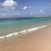 キャンディーパープル