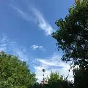 あやむの画像