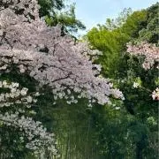 うみかの画像