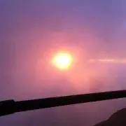 ちーこ