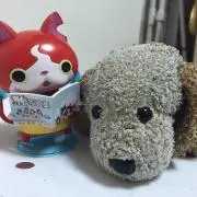 キキの画像