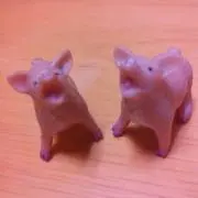 ジェン*の画像