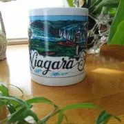 R.canadaの画像