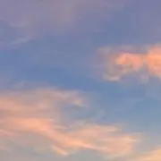 もっちゃんの画像