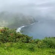 ハンナの画像