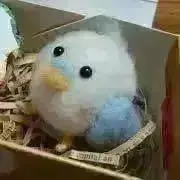 yuriの画像
