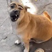 とてもハンサム。