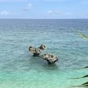 じゅんこの画像