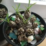 まー☺︎の画像