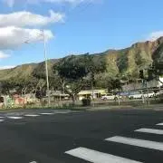 knの画像