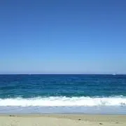 よこちゃんの画像