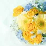 hana︎✿の画像