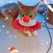 キティ❤️