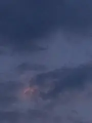 ぽに
