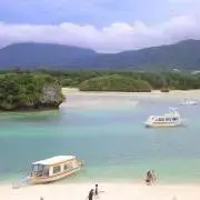 Takの画像