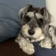 たろうの画像