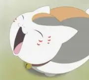 にゃんこ先生の画像
