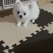 らく