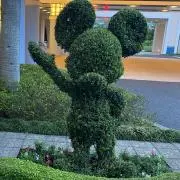 くーま